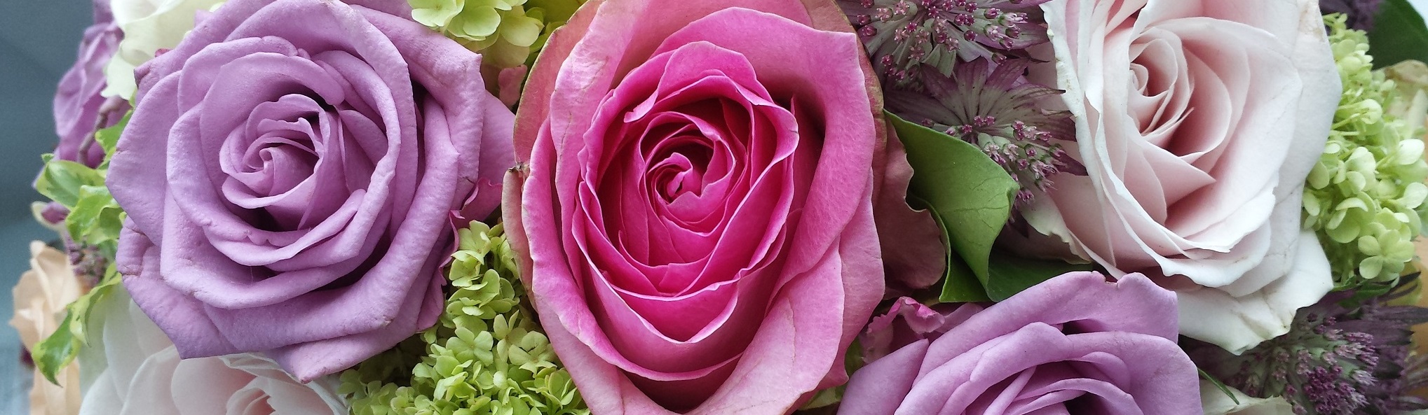 Link zur Startseite.