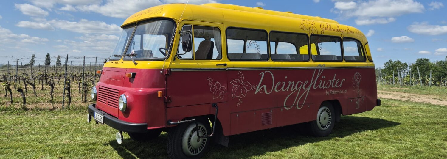 Link zur Startseite.