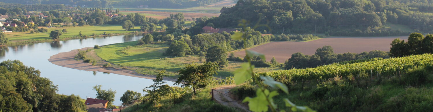 Link zur Startseite.