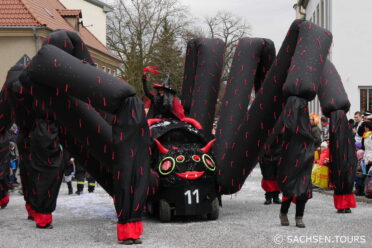 Spinne zum Radeburger Karnevalsumzug